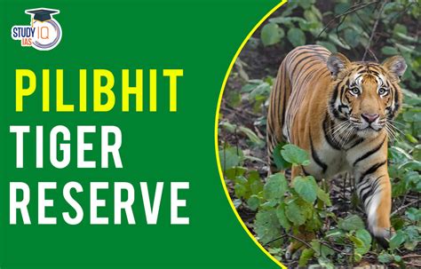 Pilibhit Tiger Reserve Map, Flora, Fauna, Significance