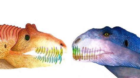 Study Reveals Dinosaur Replaced Teeth as Often as Sharks