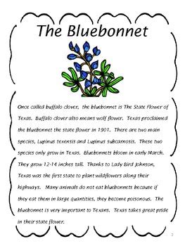 Reading Comprehension: The Bluebonnet by Educating Everyone 4 Life