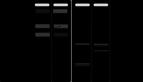 Electrophoresis Results