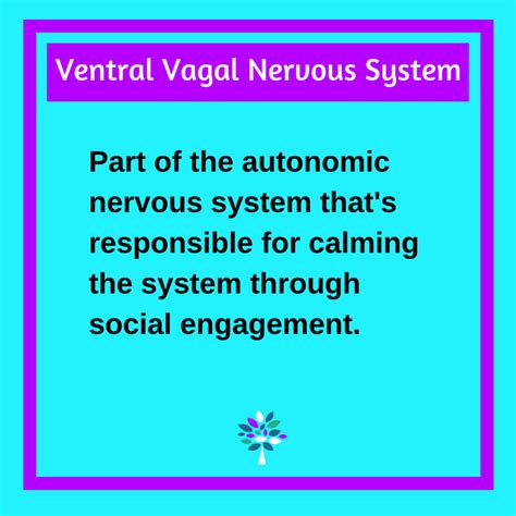 Ventral Vagal Nervous System - Colette Lord, PhD