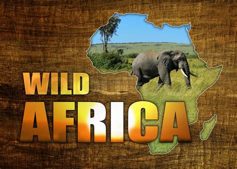 Africa Wildlife Map Design | Stock image | Colourbox