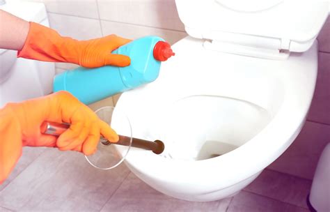 Top 15 Best Toilet Bowl Cleaners in 2024 | Lifestyle Reviews