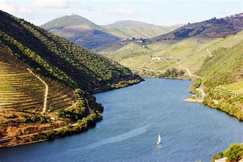 Douro Valley, Portugal | 7 Best Wine Travel Experiences of 2020 | 7 ...