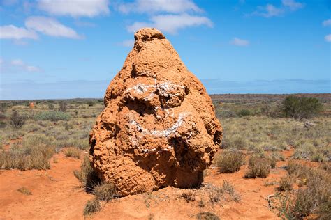 Termite mounds near Lyndon, WA. | Termite mounds near Lyndon… | Flickr