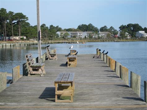 Chincoteague Island and NaNoWriMo Update | Pat Bean's blog