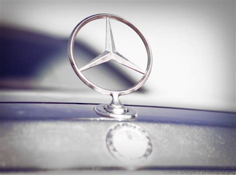 Mercedes Badge Wallpaper | Wall Options