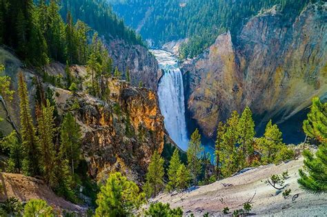 Grand Canyon of the Yellowstone: Things to Do & Map