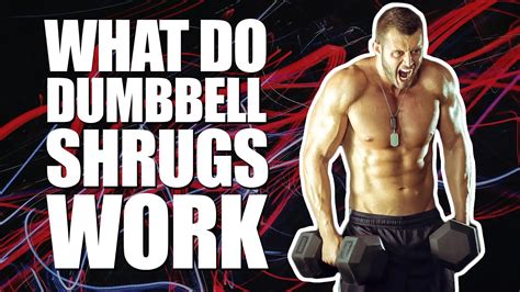 What Do Dumbbell Shrugs Work - Discover 4 Exercise Benefits