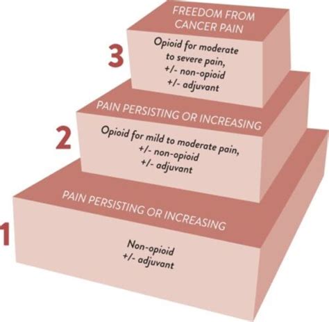 Cancer Pain: WHO Analgesic Ladder - OpenAnesthesia