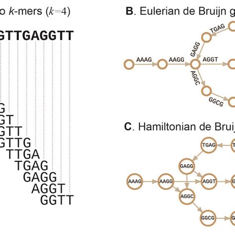 (PDF) The present and future of de novo whole-genome assembly