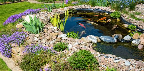 Water Features for a Peaceful Backyard Retreat | Living Color Garden Center