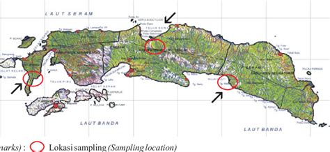 Gambar ( 1. Peta lokasi penelitian Pulau Seram ( Figure) Map of site... | Download Scientific ...