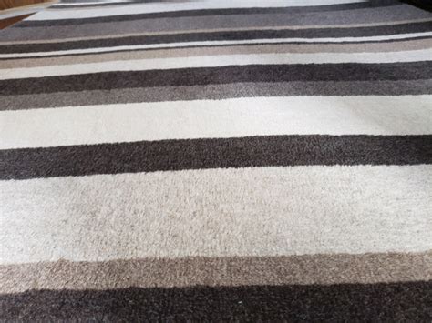 Striped Area Rug - Homesense | Rugs, Carpets & Runners | City of Toronto | Kijiji