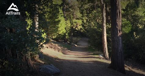 Best Trails in San Bernardino National Forest - California | AllTrails