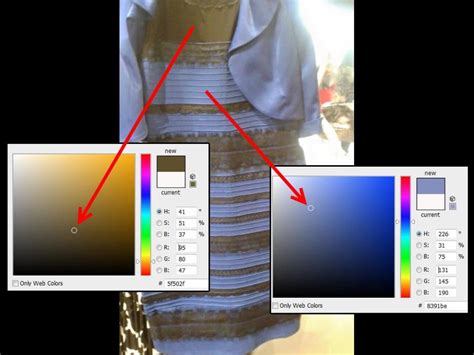 The white-gold, black-blue dress controversy raised scientific ...