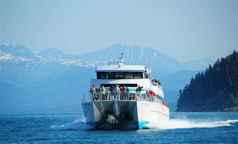 Kenai Fjords Tour Resurrection Bay: Family-Friendly Half-Day Tour