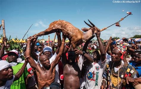 COVID-19: Effutu traditional council cancels Aboakyir festival | Culture