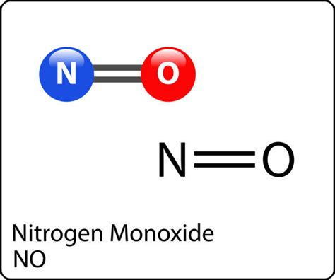 Nitrogen Monoxide Illustrations, Royalty-Free Vector Graphics & Clip Art - iStock