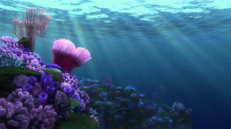 🔥 [73+] Finding Nemo Backgrounds | WallpaperSafari