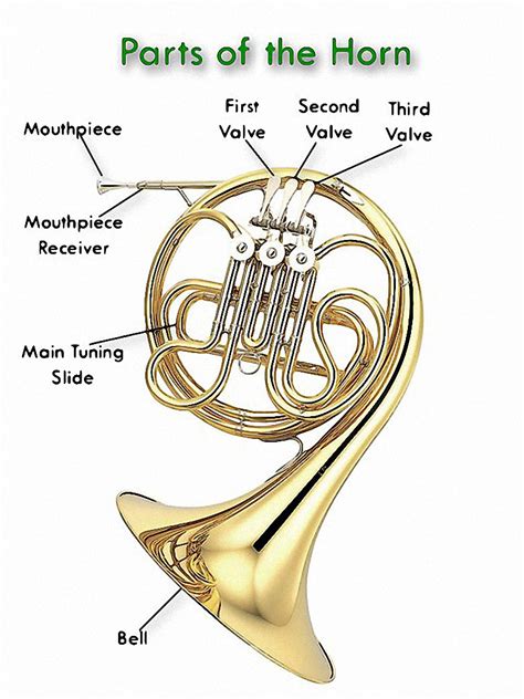 Double French Horn Parts • Globerove.com