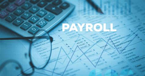 How To Simplify Your Payroll Needs With Comprehensive Solutions - Hamster Bungalow