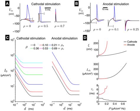 Excitability in the AHH model. (A) traces following brief (0.1 ms)... | Download Scientific Diagram