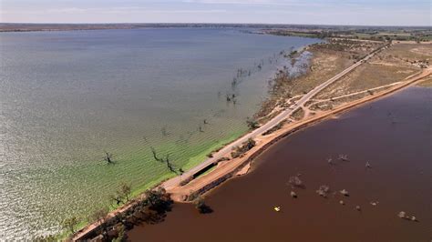 Blue-green algae behind bad smell at Lake Bonney after levee cuts it from River Murray - ABC News