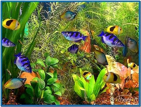 Download Tropical Fish Screensaver Mac - Free and Beautiful Screensaver