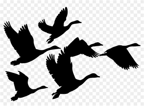 Geese In Flight Clipart People