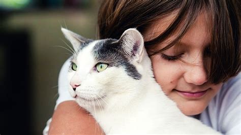 Can You Get Schizophrenia From Your Cat? | Everyday Health