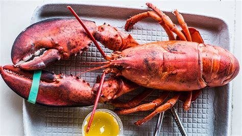 Perfectly Steamed Lobster Recipe | Bon Appétit