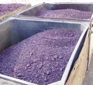 The Pomace Predicament - WineMakerMag.com