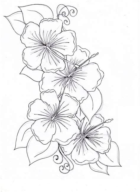 Hibiscus Flower Drawing Coloring Page | Hawaiian flower tattoos ...