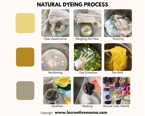 The ultimate guide to natural dyeing, what you need to know - La ...