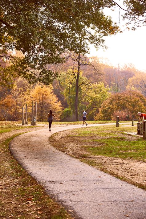 11 Things to Do in Rock Creek Park | Washington.org