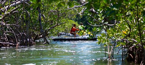 Jungle Tour in Cancun & Activity - Epic Water Toys Cancun