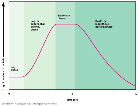 PHARMACEUTICAL MICROBIOLOGY: Bacterial growth curve