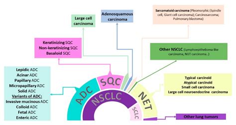 JPM | Free Full-Text | Diagnostic, Predictive, and Prognostic Biomarkers in Non-Small Cell Lung ...