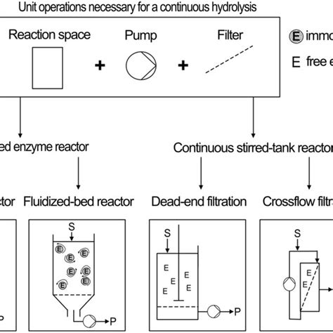 Possible application scenarios of endo- and exopeptidases and their ...