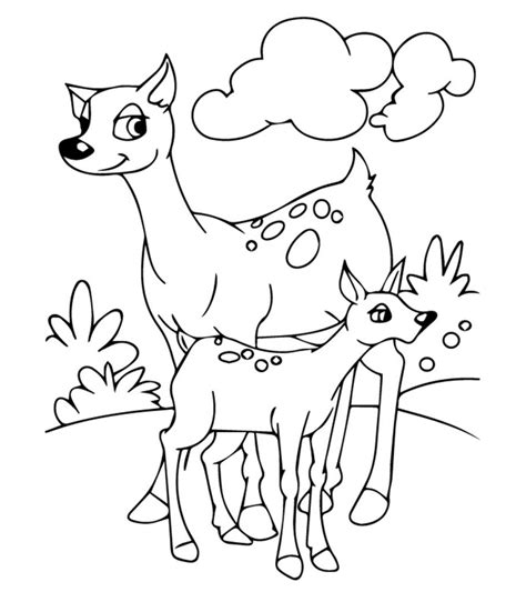 Top 25 Free Printable Coloring Pages Of Animals Online