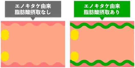 【公式】 EGタイトクレンズ