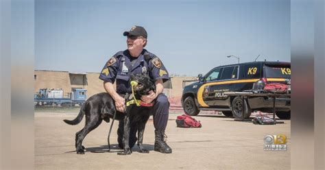 MTA Police Honor K-9 On National K9 Veterans Day | Officer