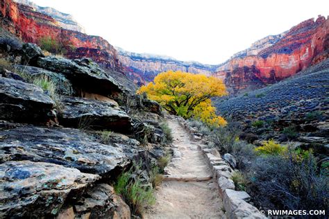 Framed Photo Print of BRIGHT ANGEL TRAIL GRAND CANYON NATIONAL PARK ...