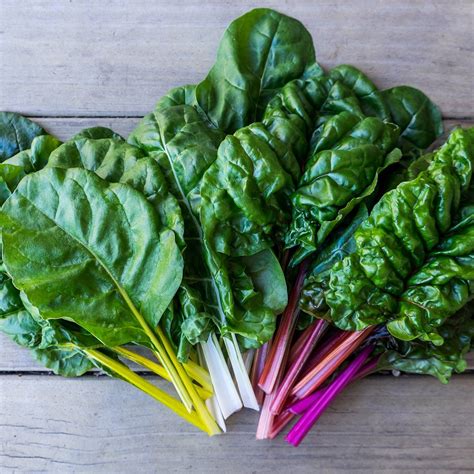 Leafy Greens 101: Your Guide to the Leafy Green Vegetables You Should ...