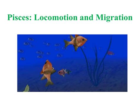 Locomotion in fishes has been classified into three types: Anguilliform or eel like. Ostraciform ...