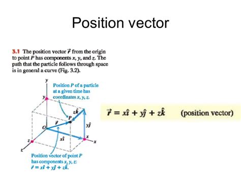 Velocity Vector at Vectorified.com | Collection of Velocity Vector free for personal use