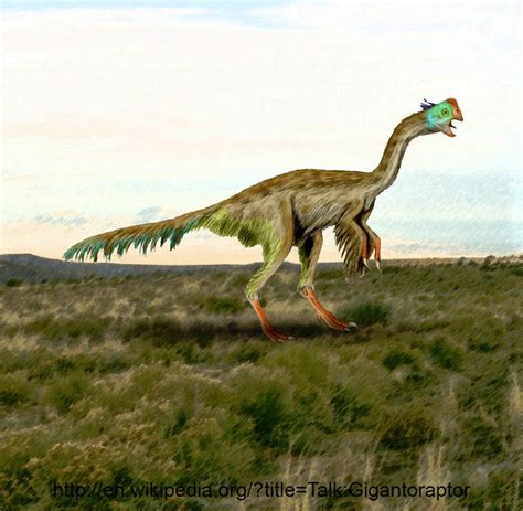 Bizarre Creature of the Day: Creature 194: Gigantoraptor