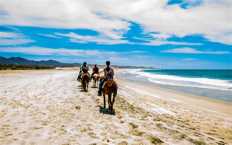 Horseback riding at the beach - Cabo Fun Adventures