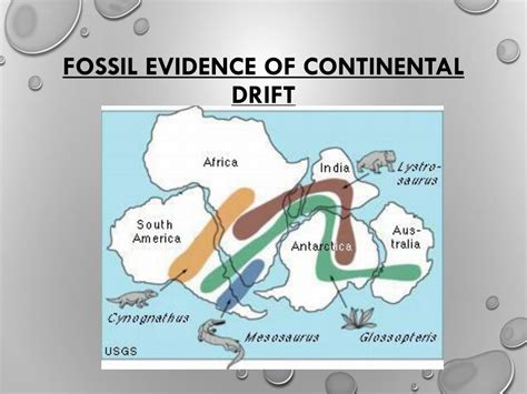 PPT - Sea Floor Spreading and Continental Drift PowerPoint Presentation ...